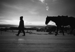 Il cavaliere della fame - foto di Salvatore Ligios